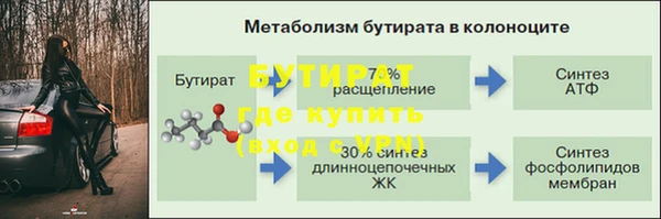 стаф Алексин