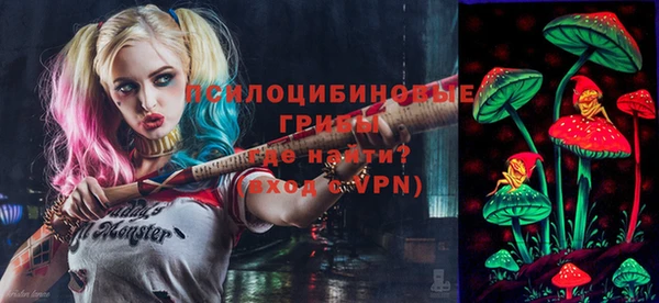 стаф Алексин