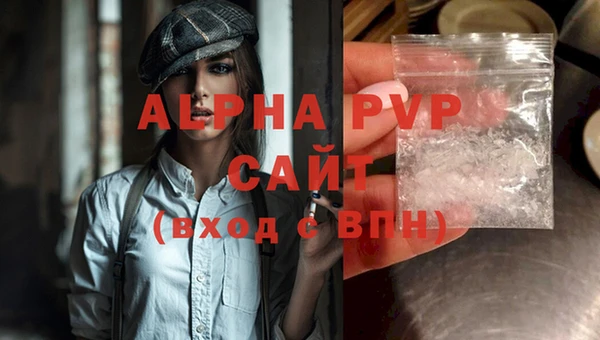 стаф Алексин