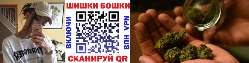 Бошки Шишки гибрид  Ипатово 